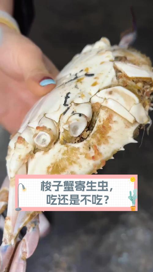 梭子蟹寄生虫谣言揭秘，美味与健康并存之道