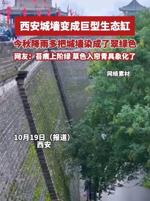 西安城墙变身巨型生态缸，城市与自然和谐共生的创新实践。
