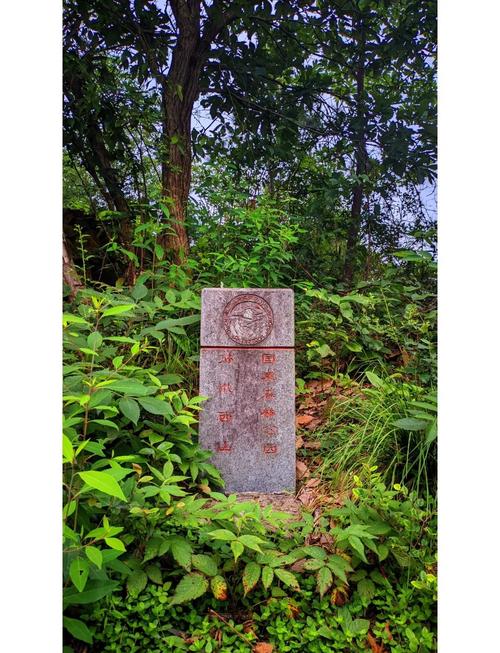 驴友登山发现大量蛇出没警示牌，揭示自然生态中的隐秘危机