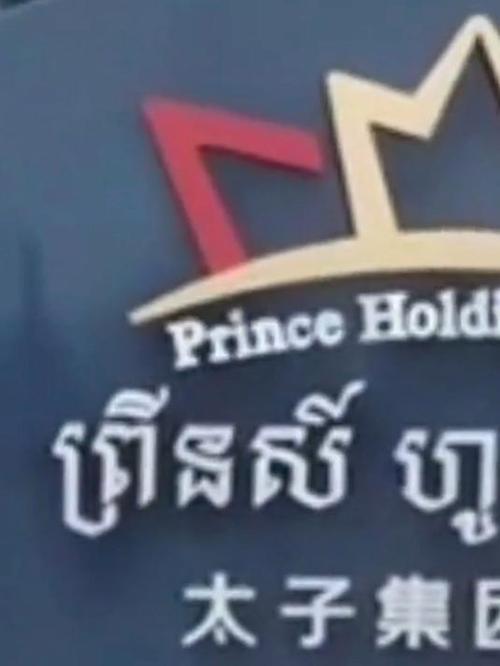 柬太子集团资产超910亿韩元遭冻结，揭秘背后真相