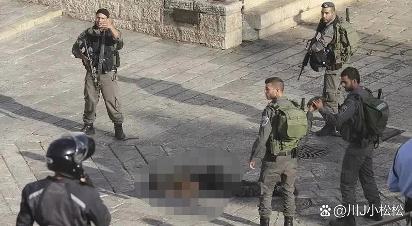 以色列士兵被拍偷滑板车事件