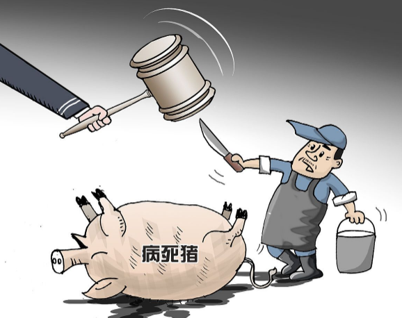 河南南阳猪瘟传闻实为谣言,揭开真相的标题