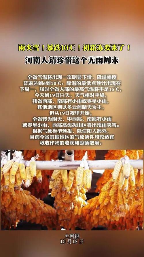 河南南阳雪降农田真相揭秘,谣言止于此