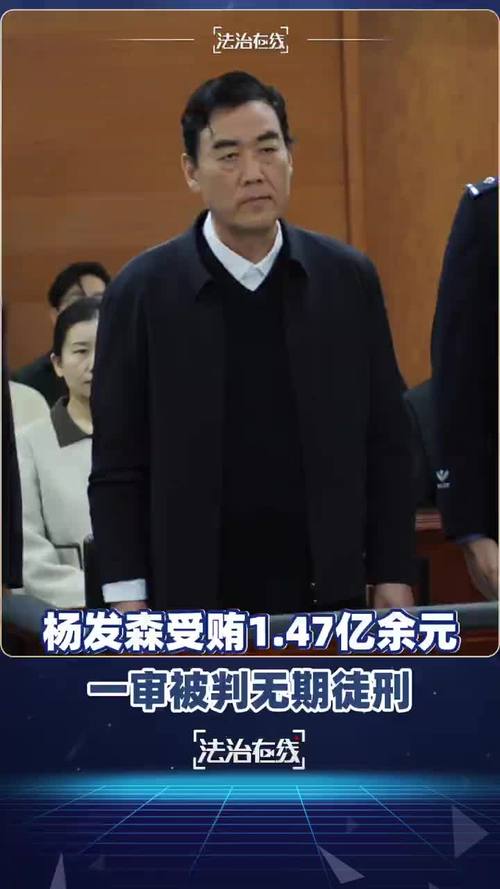 杨发森受贿案,涉案金额达1.47亿余元,被判无期徒刑。