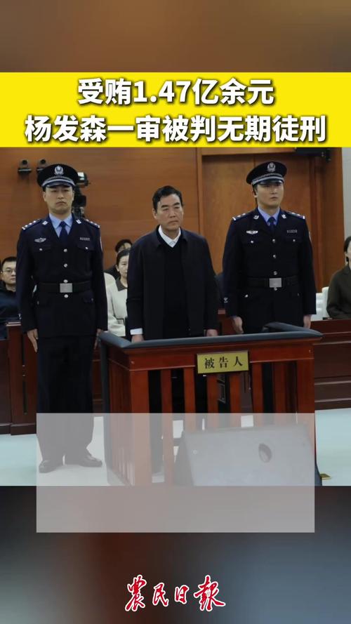 杨发森受贿案，涉案金额达1.47亿余元，被判无期徒刑。