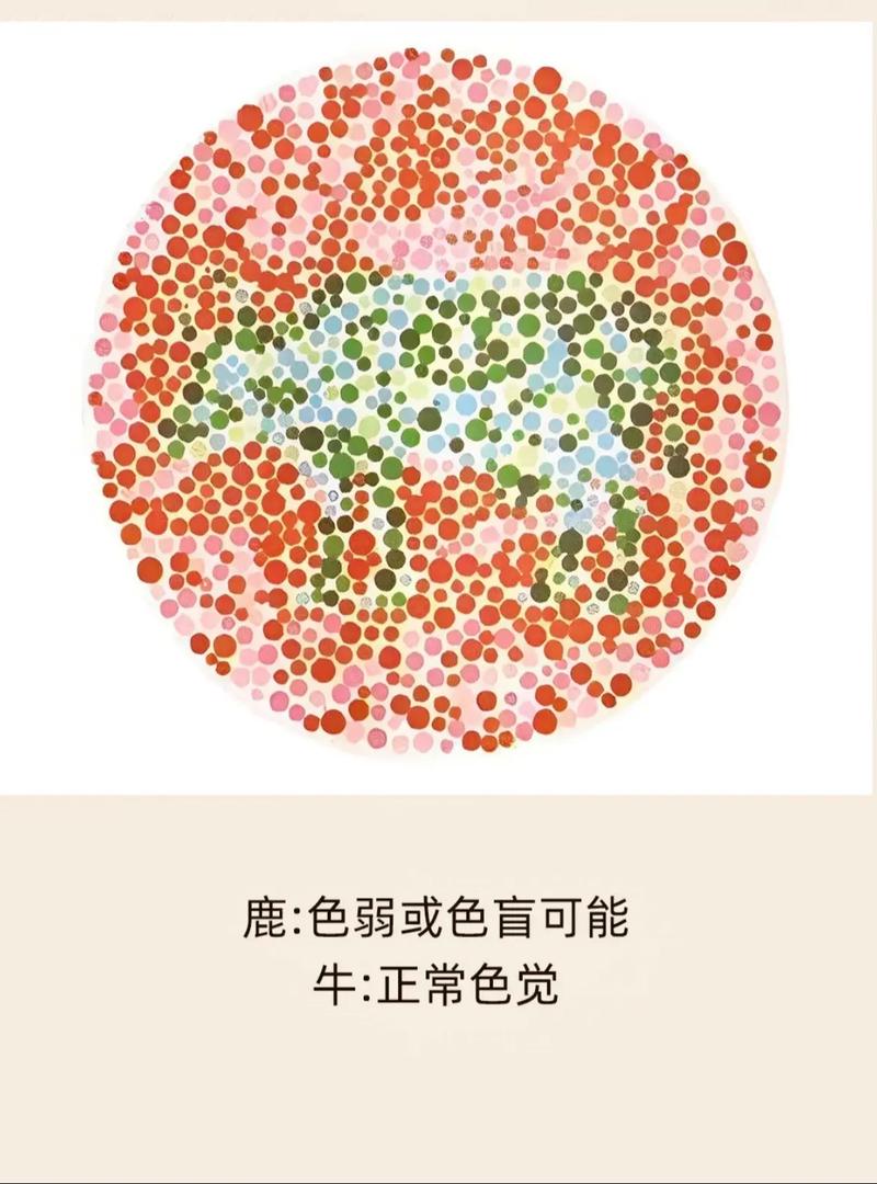 色弱学生被退学背后的高考体检结果真相待查探
