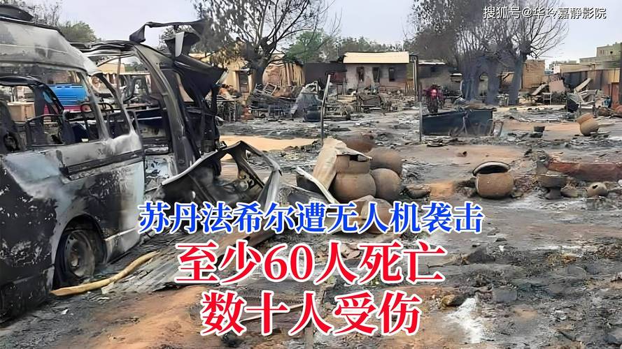苏丹西部医院遭袭致逾460名患者遇害,悲剧背后的真相揭秘