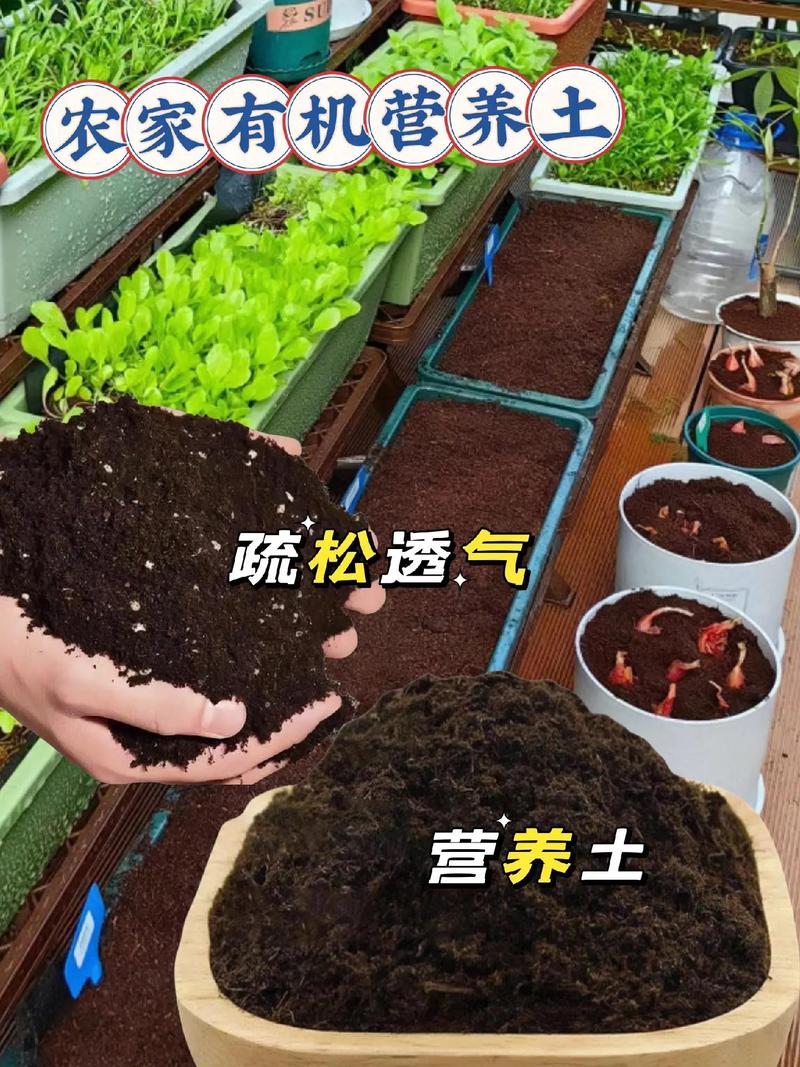 警惕种菜营养土中的潜在危险，有毒物质不容忽视