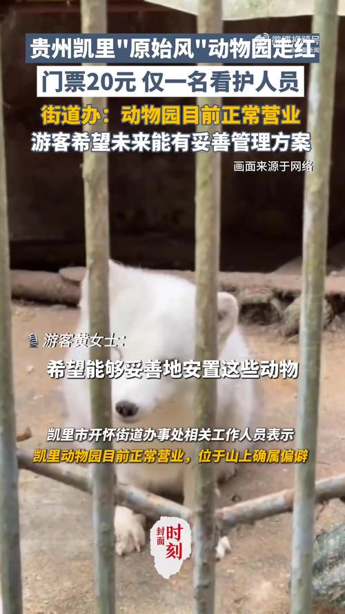 深山动物园呼吁游客停止转账赠款,共创和谐游览环境