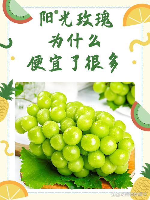 阳光玫瑰标签背后的价格飙升秘闻 阳光玫瑰标签背后的价格飙升秘闻