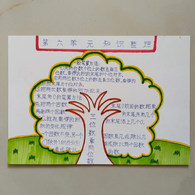 小学数学树形图和思维导图怎么画?