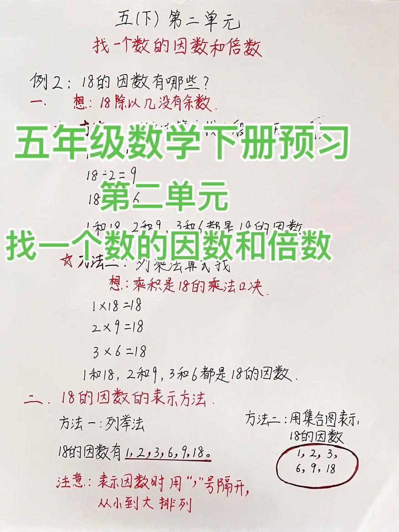 小学五年级下数学怎么教？