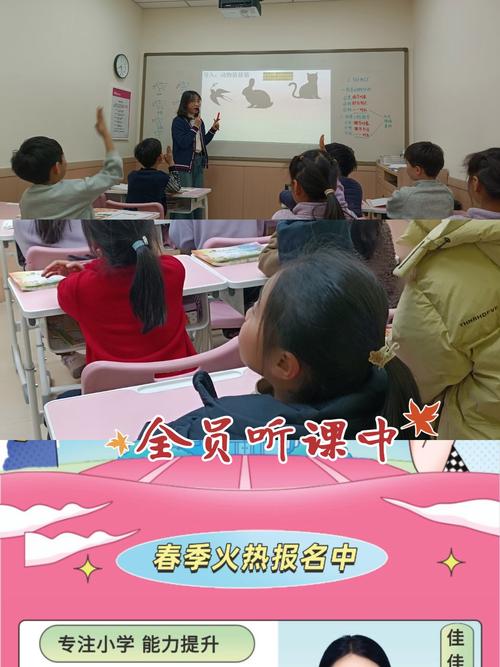 小班化教学推进，应对小学教师减少的挑战