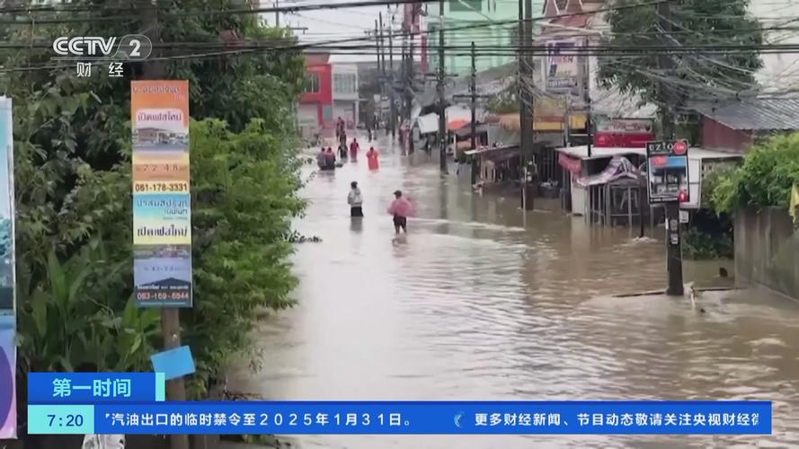 泰国洪灾中的神秘巨蛇游动现象揭秘