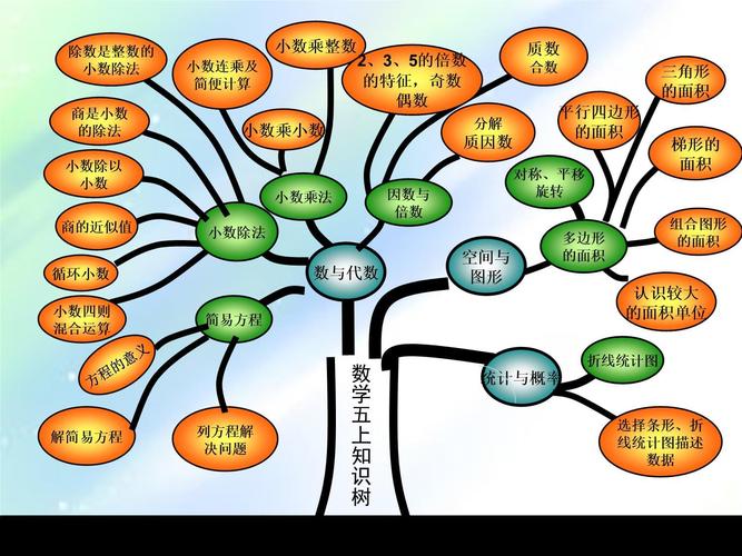 如何绘制小学数学知识树状图?视频教程详细解析!
