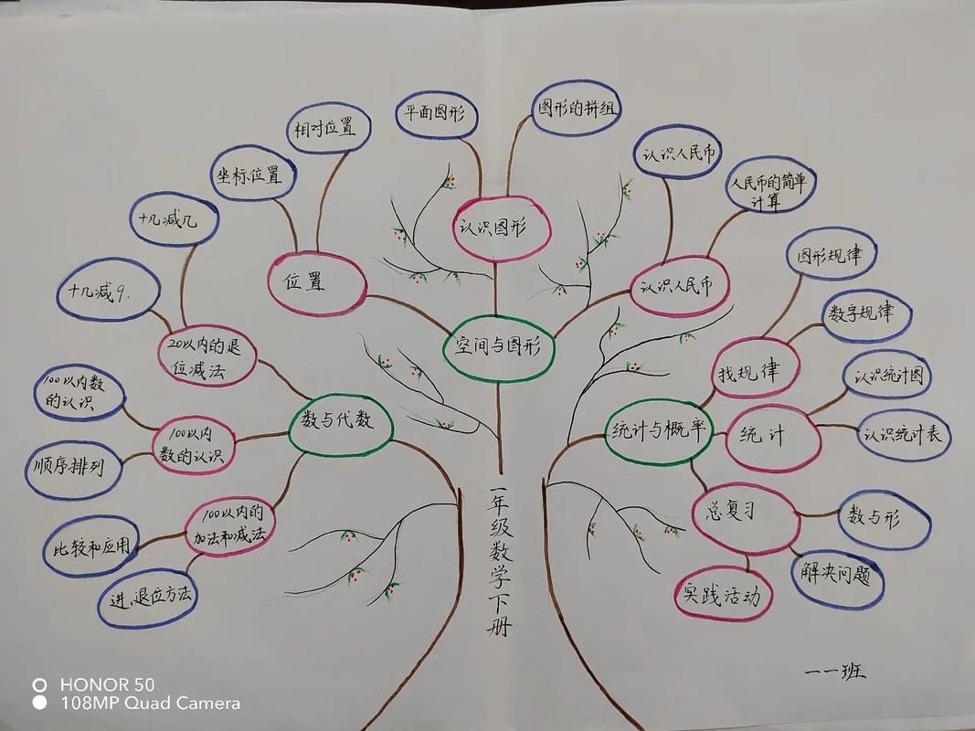 如何绘制小学数学知识树状图?视频教程详细解析!