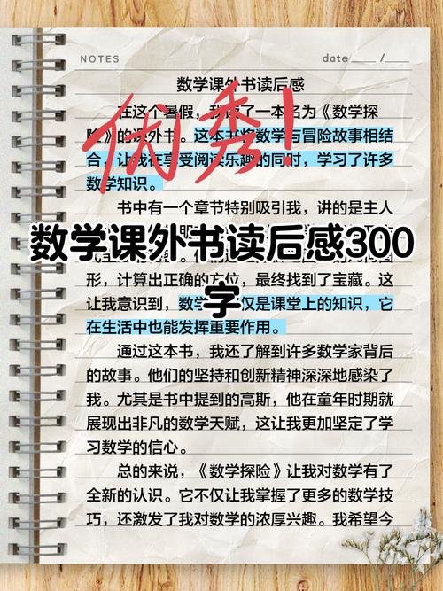 如何高效阅读小学数学课本,掌握关键知识点?