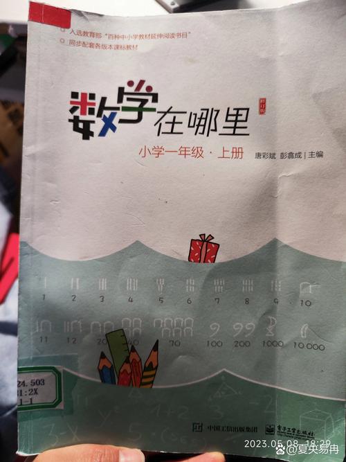 如何高效阅读小学数学课本,掌握关键知识点?