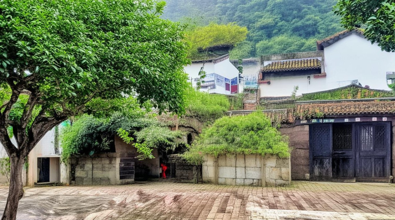 湖州市第五中学高中教学质量如何?升学率怎样?校园环境怎样?