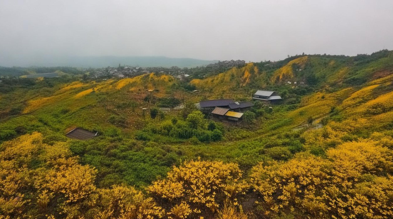 十堰高中数学教材版本及详细目录是哪些？使用情况如何？